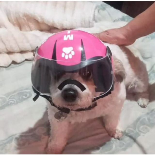 item