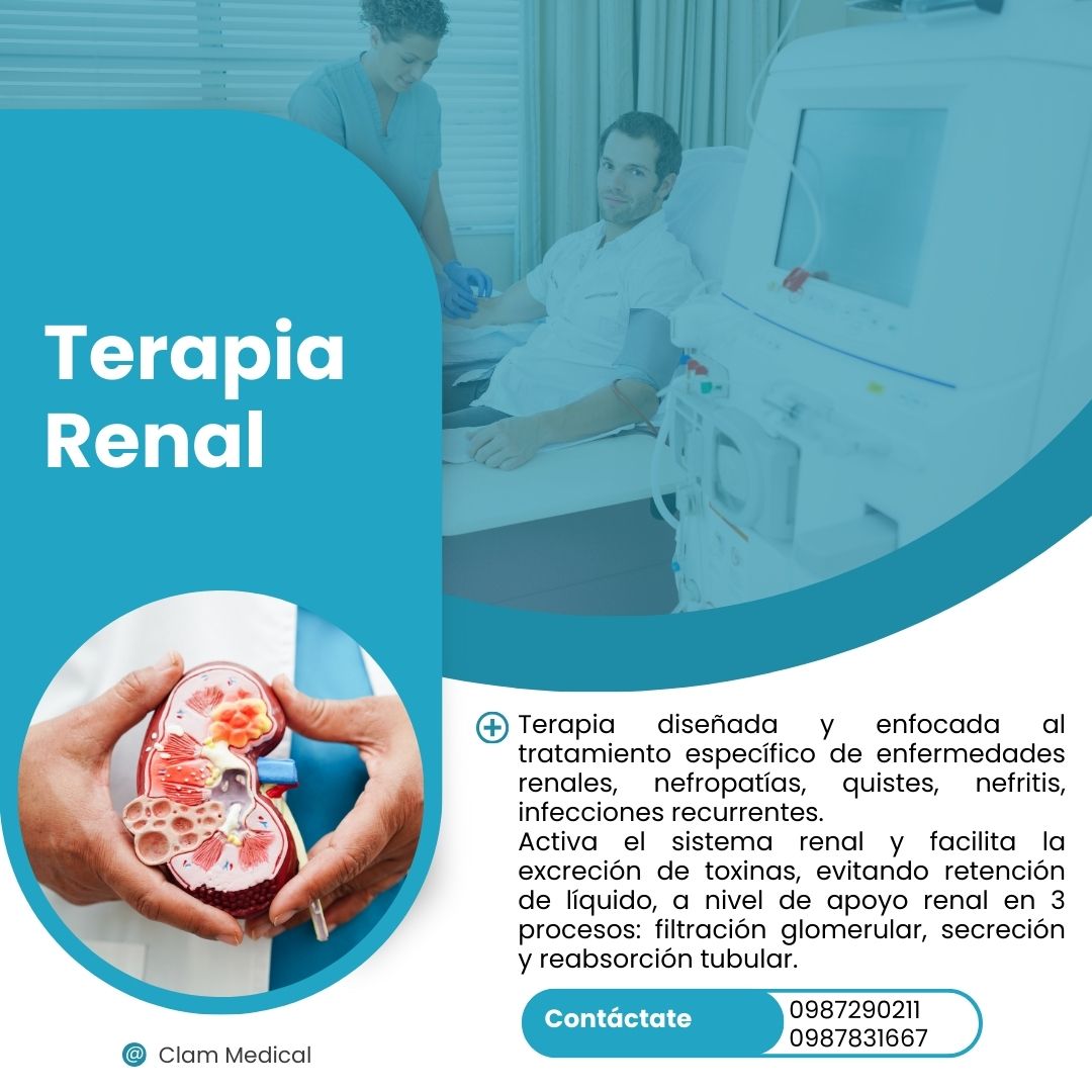 Terapia renal