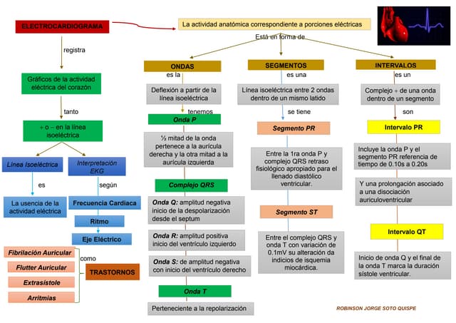ELECTROCARDIOGRAMA – MAPA